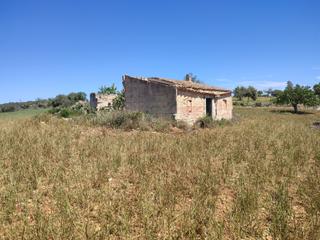 Rural plot in Vilafranca de Bonany. Lote de fincas para construir vivienda con piscina