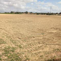 Rural plot in Vilafranca de Bonany. Lote de fincas rústicas con 16156 m2 para construir vivienda con