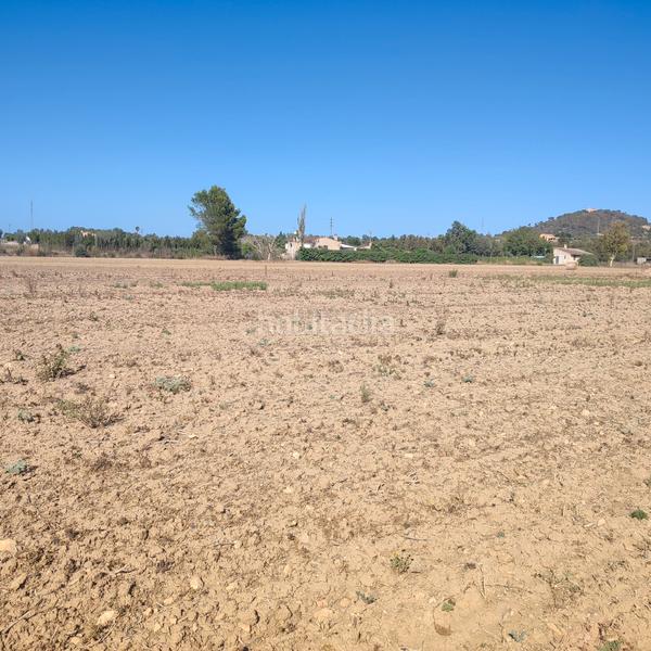 Foto 4e46c812-2b28-4770-a9fb-28c4a444d16d. Finca rústica a poligono poligon 25 352 a Manacor centre Manacor