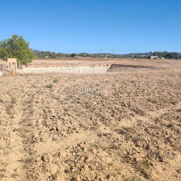 Foto a2d0a7fe-6af5-4998-ac12-d1b7bea4956e. Finca rústica a poligono poligon 25 352 a Manacor centre Manacor