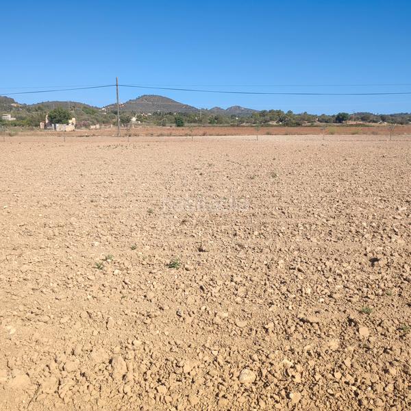 Foto b64cd418-34aa-4303-8621-f40589a70019. Finca rústica a poligono poligon 25 352 a Manacor centre Manacor