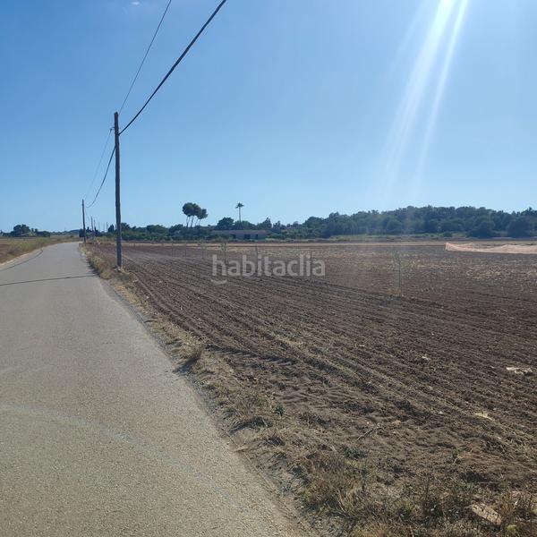 Foto c9e9a8e7-67dd-400e-972e-e17ad382051c. Finca rústica a poligono poligon 25 352 a Manacor centre Manacor
