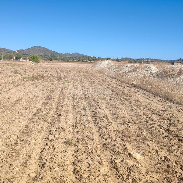 Foto e37647ee-7a0d-4ae4-a35d-515fe28e18eb. Finca rústica a poligono poligon 25 352 a Manacor centre Manacor