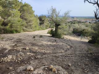 Rural plot in Vial camino 277. Finca rústica de 2541 m2 con bonitas vistas