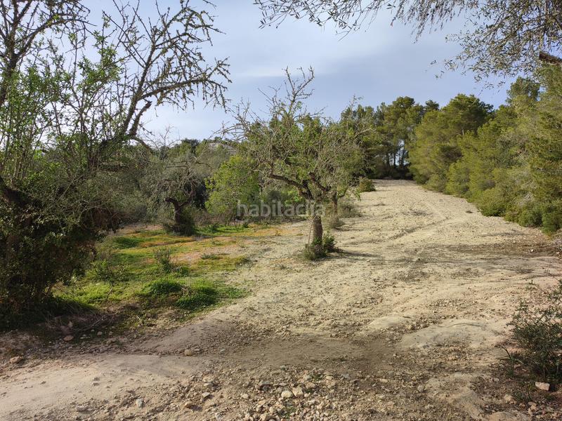 Foto 515e2833-c61c-424c-b4fe-209d9dc3fbe7. Fondo rustico in vial camino 277 in Sant Joan