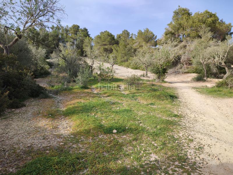 Foto 54e8106f-9446-417e-acd7-51db4dbd72e0. Fondo rustico in vial camino 277 in Sant Joan