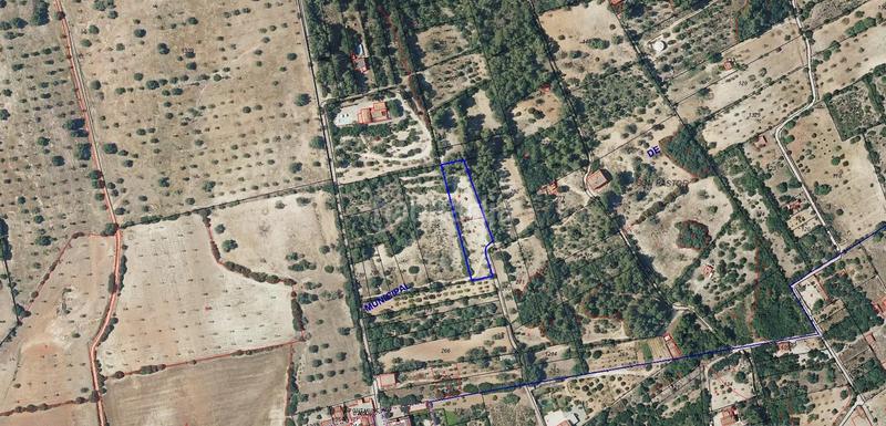 Foto 7536e366-0c5a-48a0-a8db-5334e4cd2a81. Fondo rustico in vial camino 277 in Sant Joan