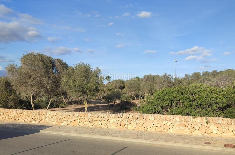 Foto aaa4fd33-ffa4-46ba-b7b1-0cd35a3deaf2. Terreno residenziale in avinguda regne de mallorques 8 in Llucmajor