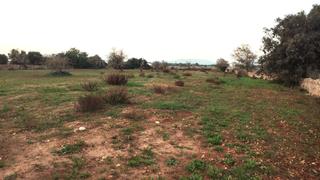 Finca rústica a Poligono poligon 25 1334. Lote de fincas rústicas para construir vivienda unifamiliar con