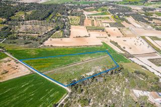 Rural plot in Vial camino 449. Lote de fincas para construir vivienda con piscina en sant joan