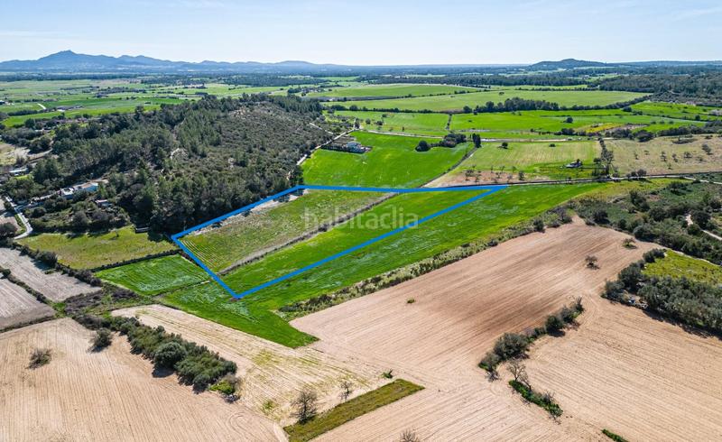 Foto cc57f8f5-a2c2-4d8a-8c7a-c6ce29c389b0. Propriété dans vial camino 449 dans Sant Joan