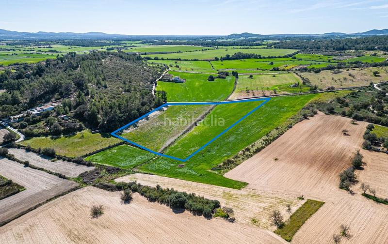 Foto e7a3e8cb-5cd0-4b4c-b656-97729b1ba08f. Propriété dans vial camino 449 dans Sant Joan
