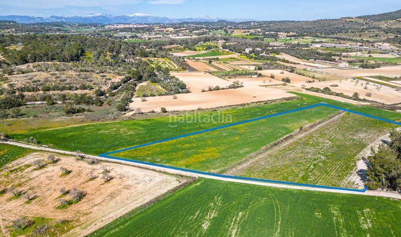 Foto edf290a1-b66f-46a1-8018-d8f847b3d4cb. Propriété dans vial camino 449 dans Sant Joan