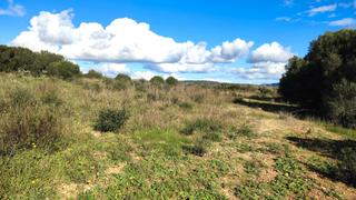 Rural plot in Diseminado cdte primero 3. Finca agrícola de 7.103 m3 con vistas despejadas cerca de manaco