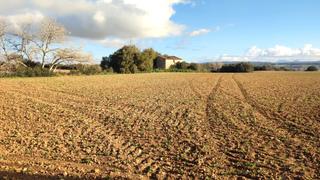 Rural plot in N/a. Finca agrícola de 244.280 m2 con electricidad y agua, ideal para