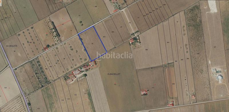 Foto 13c693cd-7ac0-47ce-9c96-f6b00a7ea3e0. Propriété dans diseminado cdte primero 36 dans Vilafranca de Bonany