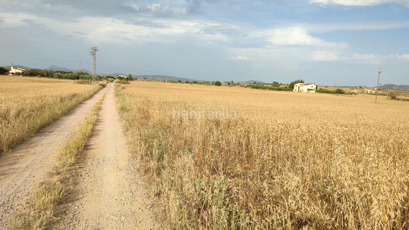 Foto 1ce00733-9af4-41ce-8f53-349df8454a2c. Propriété dans diseminado cdte primero 36 dans Vilafranca de Bonany