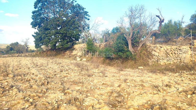 Foto 6d3c461f-ff2d-46fc-82f5-3b8634f31294. Fondo rustico in Montuïri