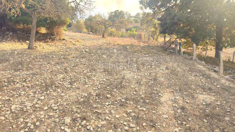 Foto 77b5b3db-6e1e-4100-b20e-4ac7747aefc3. Fondo rustico in Montuïri