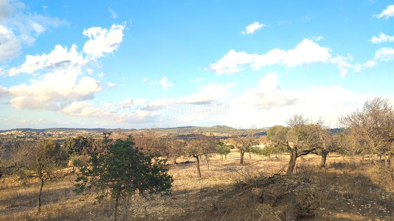 Foto 831d2710-6403-4186-957c-5acad7291c73. Fondo rustico in Montuïri