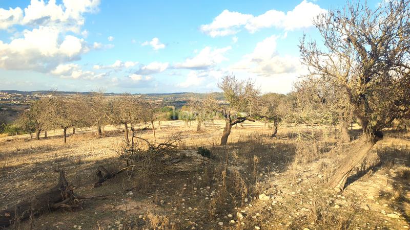 Foto 879e33f1-08e8-4ac2-bfe8-642170ad9281. Fondo rustico in Montuïri