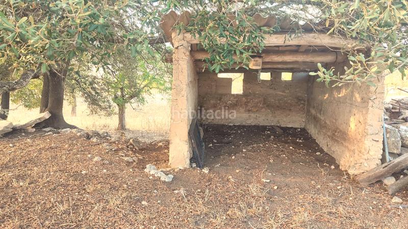 Foto b0c70a85-76b2-400f-a914-00cac8802cb8. Fondo rustico in Montuïri