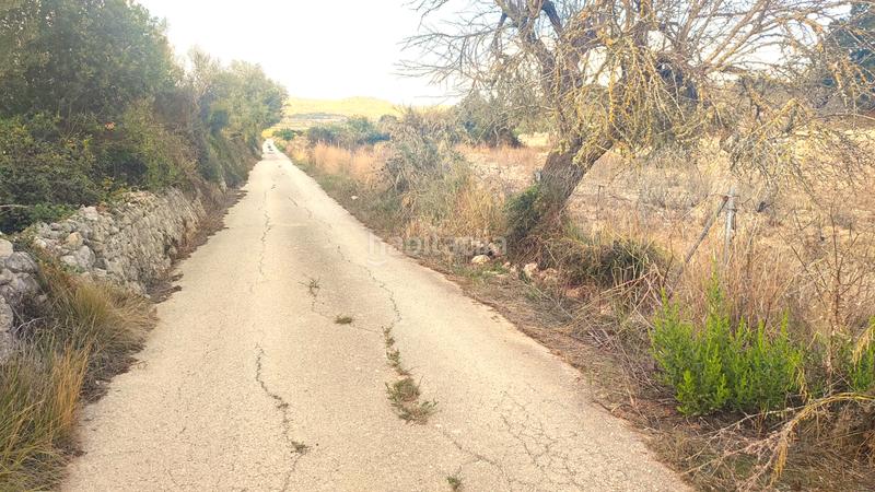 Foto b50f2f05-bcdc-4878-b696-bca065c42b48. Fondo rustico in Montuïri