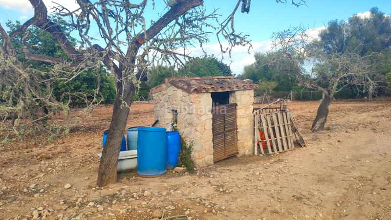 Foto d238b270-0592-4846-9b8c-416dfb681c8a. Fondo rustico in Montuïri