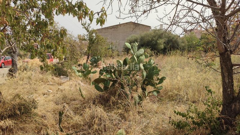 Foto 4a1c131b-2655-484d-af89-1b0ba4c63a21. Terrain résidentiel dans carrer de sant josep 85 dans Vilafranca de Bonany