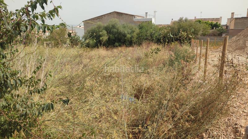 Foto 53c0fcd7-2474-4e06-9b48-10e42a273799. Terrain résidentiel dans carrer de sant josep 85 dans Vilafranca de Bonany