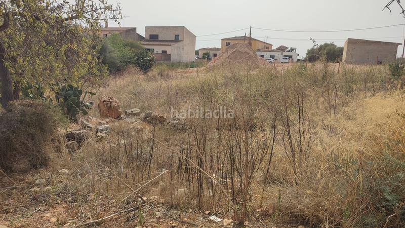 Foto 5e89ff03-7cce-4721-8a85-60af8e498dfe. Terrain résidentiel dans carrer de sant josep 85 dans Vilafranca de Bonany