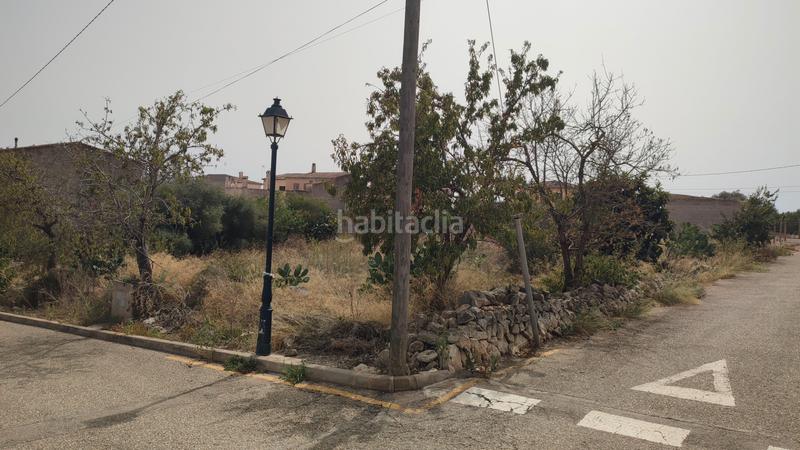 Foto 61a336b8-21a5-47c8-909d-02b56fcc8b4e. Terrain résidentiel dans carrer de sant josep 85 dans Vilafranca de Bonany