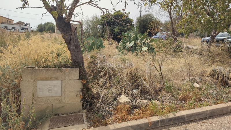 Foto 926e328a-2849-4125-b864-4807787a7163. Terrain résidentiel dans carrer de sant josep 85 dans Vilafranca de Bonany