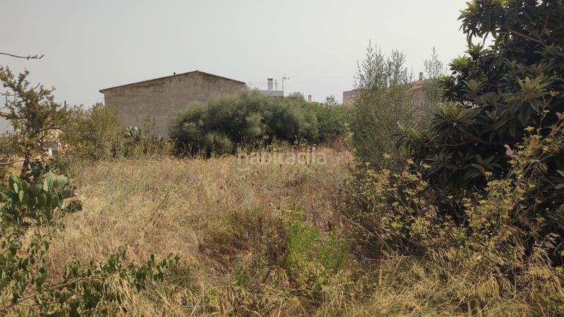 Foto a8a50737-1623-455f-96c9-8b5b6c08026c. Terrain résidentiel dans carrer de sant josep 85 dans Vilafranca de Bonany