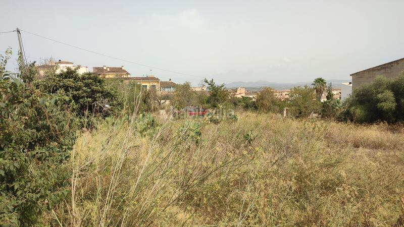 Foto fb6e535b-0999-48dc-8e5f-41166dbee20a. Terrain résidentiel dans carrer de sant josep 85 dans Vilafranca de Bonany