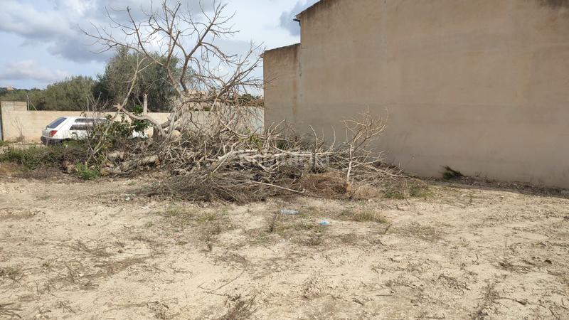 Foto 81c2d08e-5f0e-46ee-a43e-c963083bbaa3. Wohngrundstück in carrer joan barceló 32 in Vilafranca de Bonany