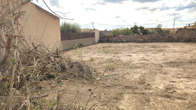 Foto cc661173-3385-4359-844e-fabac4a01ff2. Wohngrundstück in carrer joan barceló 32 in Vilafranca de Bonany