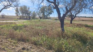 Rural plot in N/a. Pequeña finca agrícola para huerto