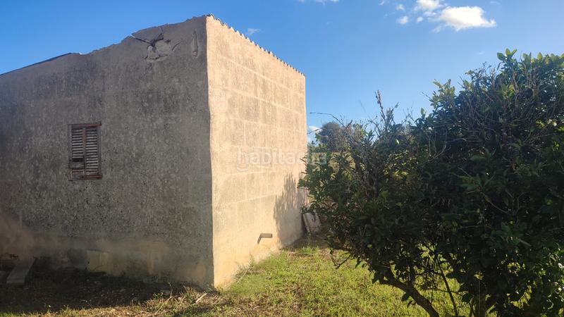 Foto 121d74da-8e7d-4467-8364-d1b4487db199. Finca rústica a poligono poligon 27 1848 a Manacor centre Manacor