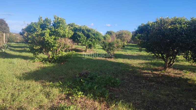 Foto 6a7ed1ef-9b33-46a3-8556-1862630776f0. Finca rústica a poligono poligon 27 1848 a Manacor centre Manacor