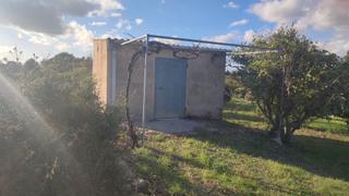 Rural plot in Poligono poligon 27 1848. Finca de naranjos con caseta de aperos