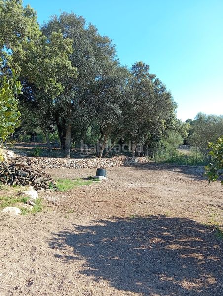 Foto 034e597b-d22f-48e7-858b-e574bb071668. Masia a vial camino 279 a Manacor centre Manacor