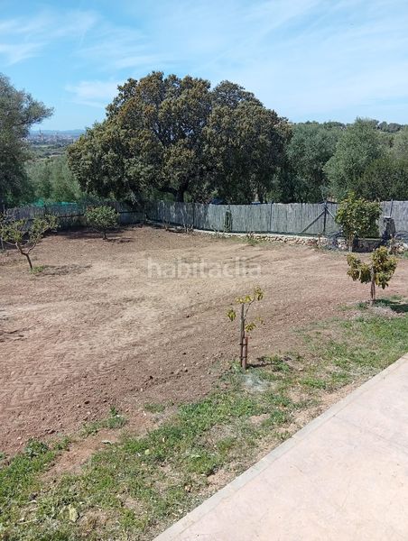 Foto 04beb9ad-e599-44c3-bec1-7800a58e0dfe. Masia a vial camino 279 a Manacor centre Manacor