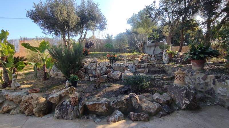 Foto 3dda6590-e991-4bf6-a763-0d5f61e77e2b. Masia a vial camino 279 a Manacor centre Manacor