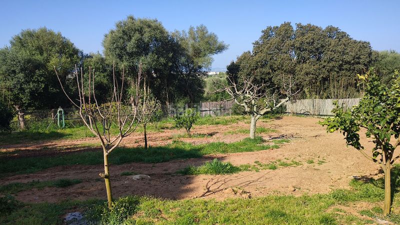 Foto d65192d7-990a-4d77-8e41-8e665e811a47. Masia a vial camino 279 a Manacor centre Manacor