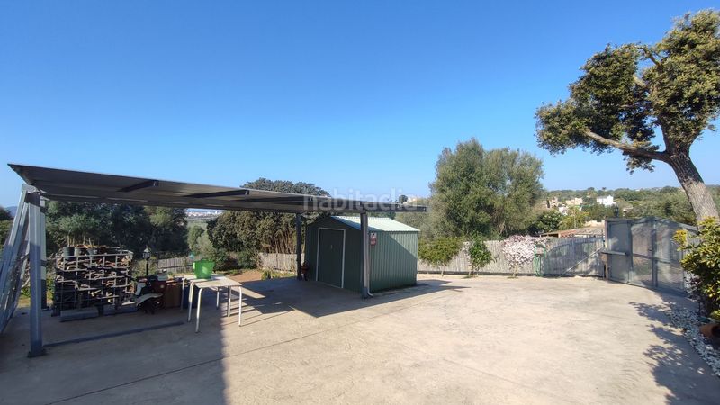 Foto f5350e95-9f87-4747-a403-310aa1870b4c. Masia a vial camino 279 a Manacor centre Manacor