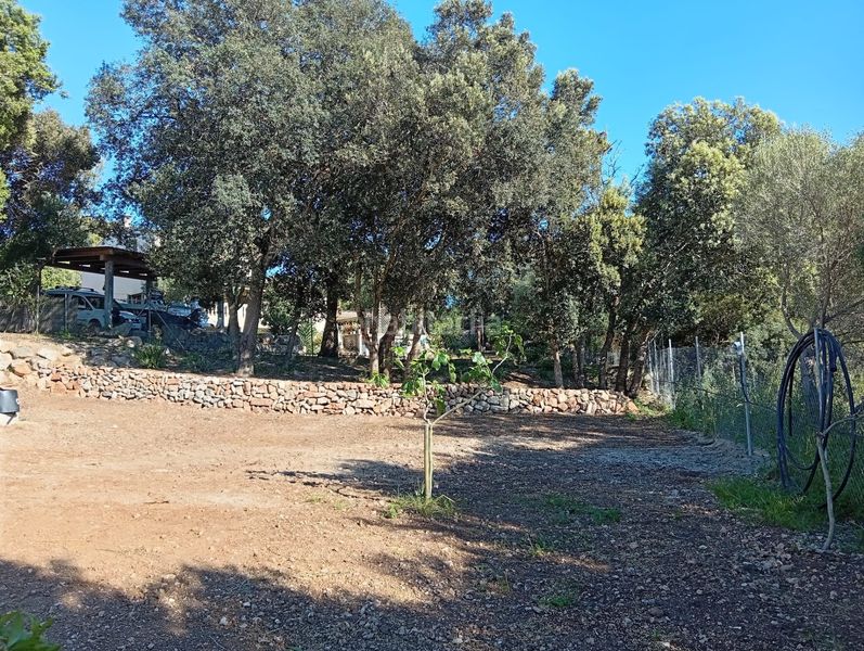 Foto f7a6aef7-01c0-4b22-bfd9-99d3a4d756ca. Masia a vial camino 279 a Manacor centre Manacor