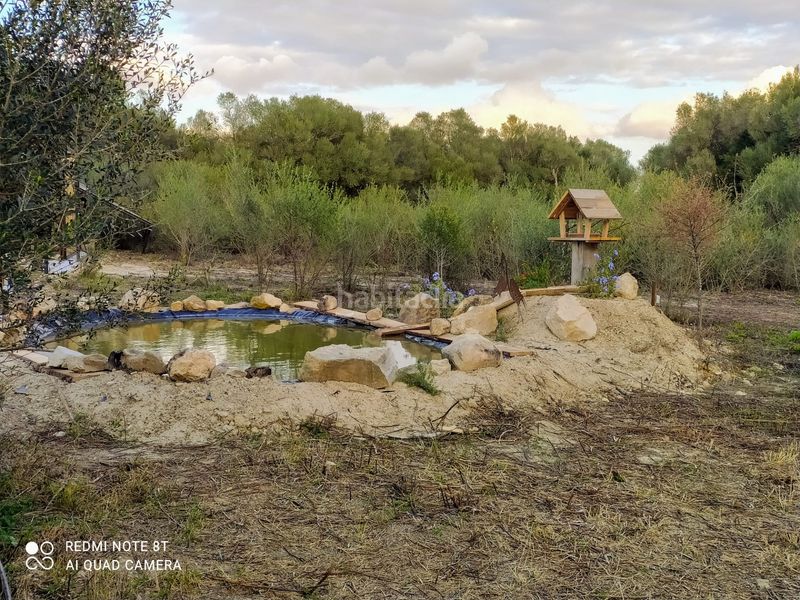 Foto abd78f22-fffb-4aeb-8073-a8b50d24725f. Finca rústica a Porreres