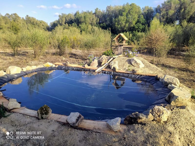 Foto be5e3ef3-f19a-4d2b-9509-4d67af381154. Finca rústica a Porreres