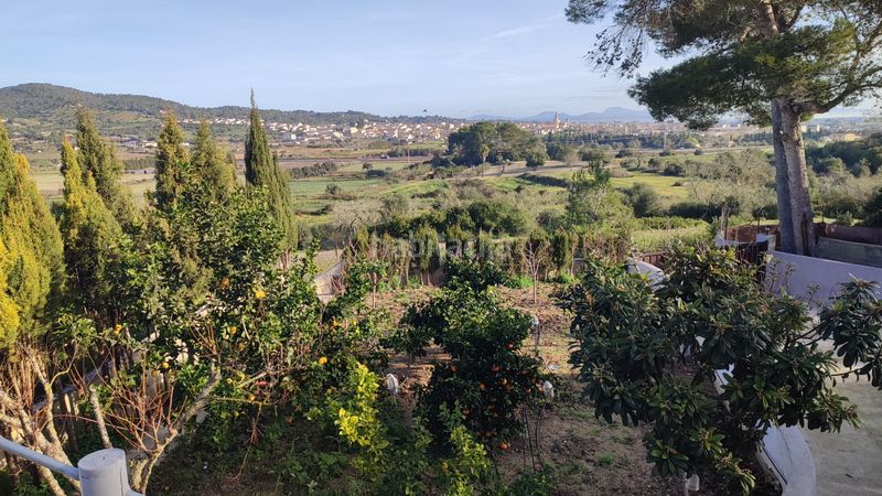 Foto c9fe9830-874d-4826-a68a-e409af1aac6b. Finca rústica a vial camino 644 a Sant Joan